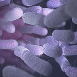 my-dien-lanh-thanh-hoa