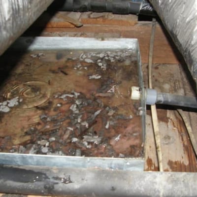 sua-dien-lanh-thanh-hoa